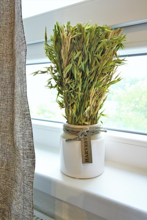 Working & Longstay Dd *