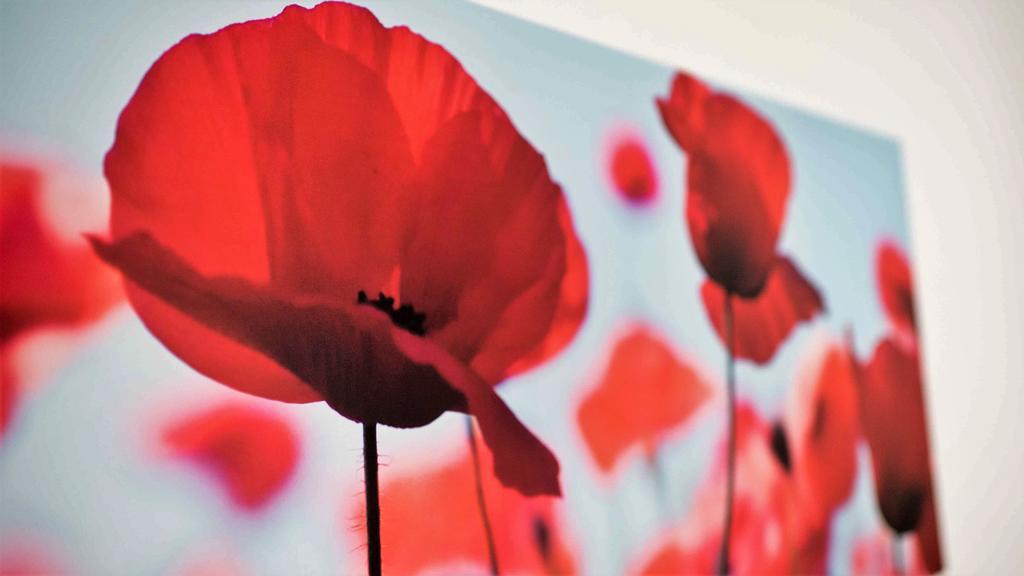 Working & Longstay Dd Düsseldorf